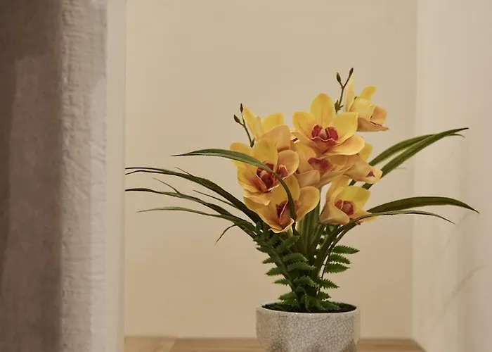 Bellaroma Navona 4*